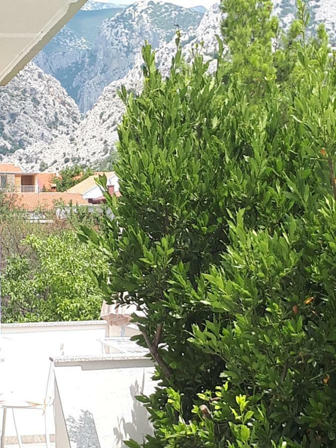 Apartmani Korina Starigrad Paklenica Luaran gambar